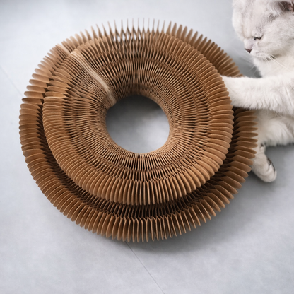 Cat Scratcher Toy