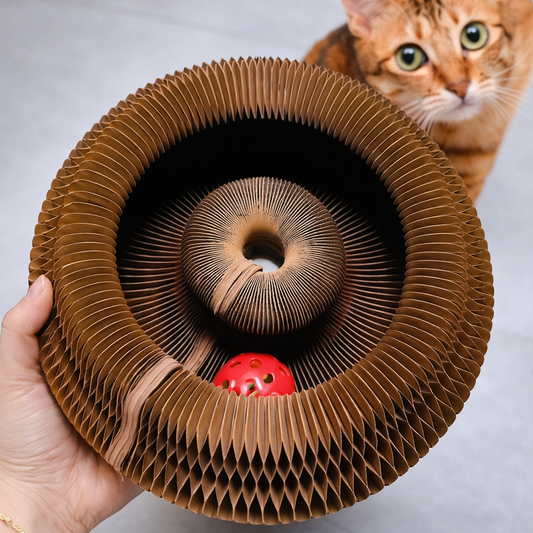 Cat Scratcher Toy